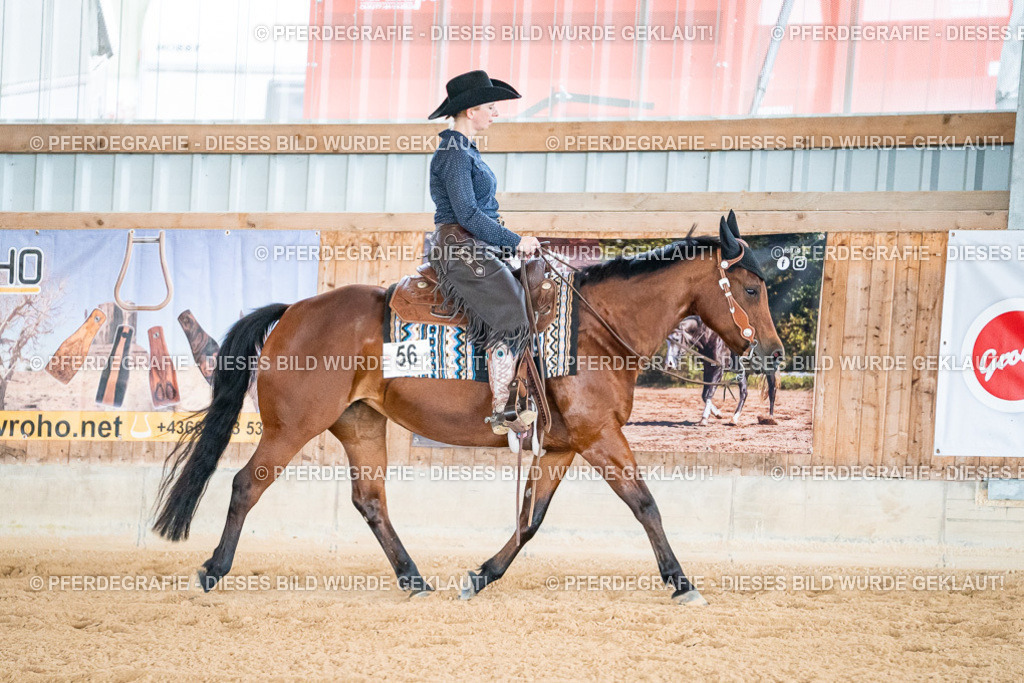 DSC09957 | Pferdegrafie