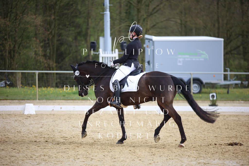 IMGT6965 | pl-fotografie