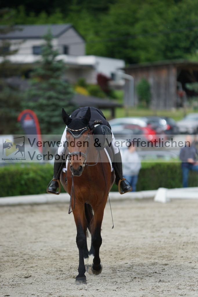 DSC05472 | equestrian-live-com