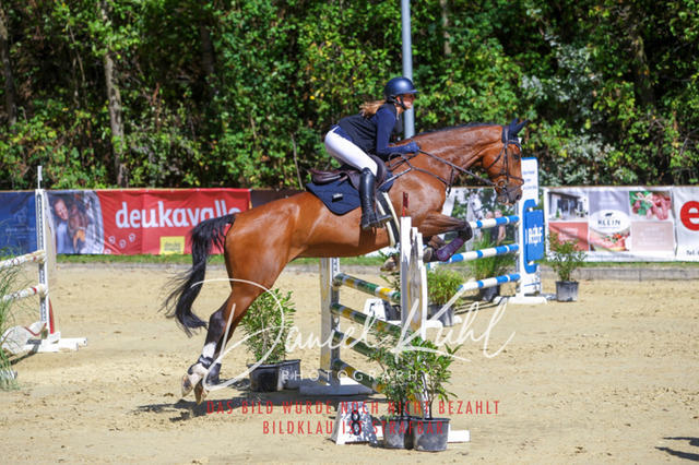 DKP43210 | Deine Turnierfotos vom Reitturnier online kaufen: Dressur, Springen & Siegerehrung. Professionelle Pferdefotografie aus dem Rheinland – als Download & Print.Alternative: Turnierfotograf für den Pferdesport: Finde deine Fotos von Dressur- und Springturnier