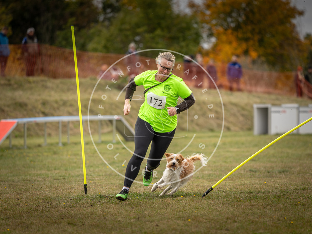 Pfotenfotografie_DV3A5920 | Hundefotografie, Tierfotograf, Pfotenfotografie, Fotoshooting Hund, Hunde Portrait, Hundesport, Hundeportraits, Heideshooting, Hunde, Sportfotograf, Hundefotograf, Turnierhundsport, THS,  - Realisiert mit Pictrs.com