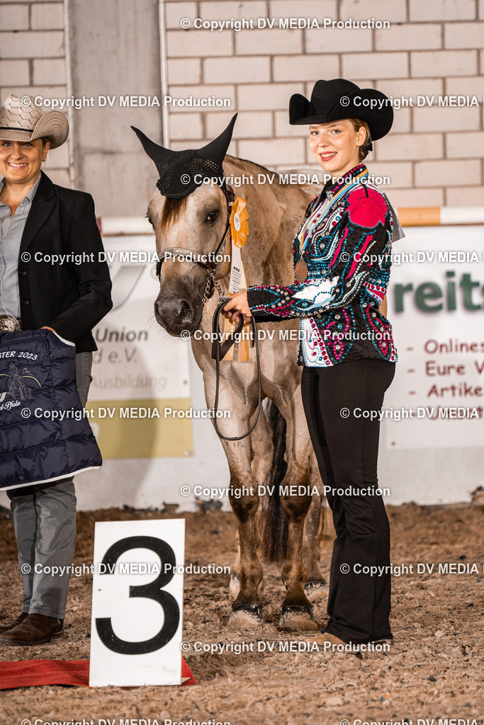 ZH100254 | dv-media-shop - Realisiert mit Pictrs.com