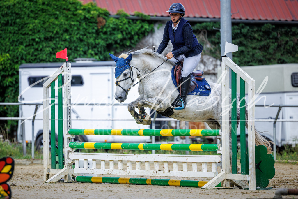 20260705-_3LI3862 | Tierfotografie Pferde, Hunde, Katzen, Haustiere.
Turnierfotografie Reitturniere, Reiten, Springreiten, Dressur in Hanau, dem Main-Kinzig-Kreis und dem Rhein-Main- Gebiet um Frankfurt