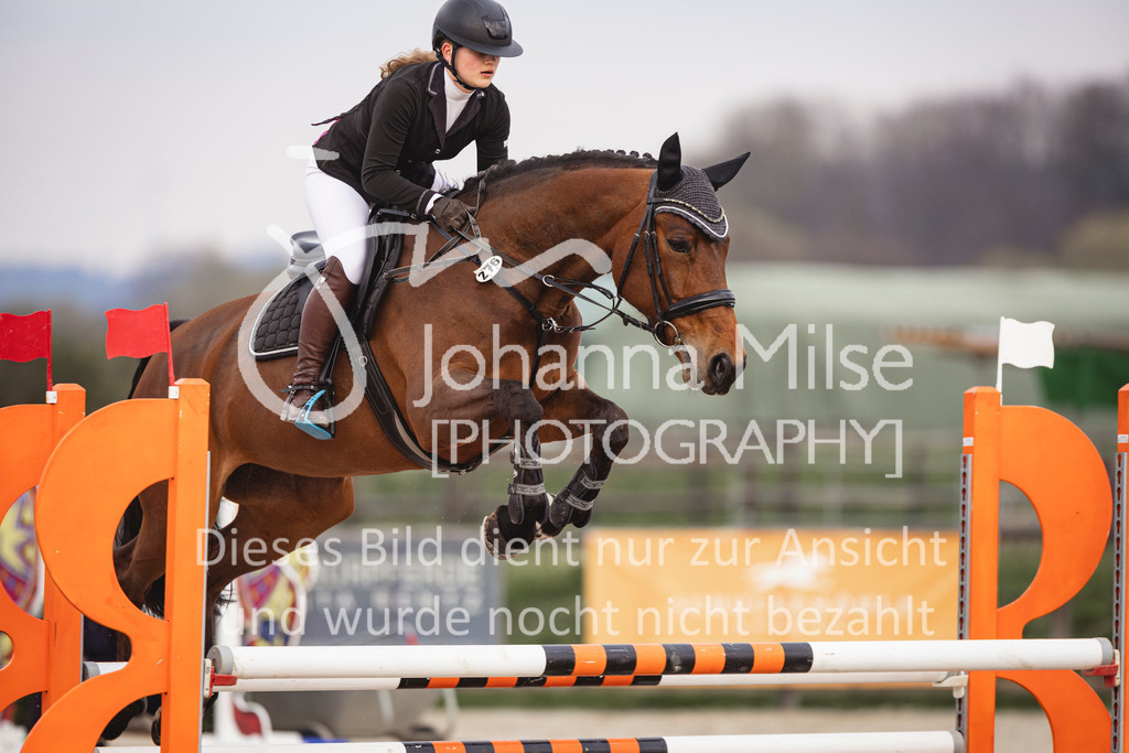 240327_Fruehlingsfest_Stil-L-1-318 | Deine schönsten Turniermomente als professionelle Fotos! Entdecke hochwertige Pferdesport-Fotografie im Online-Shop. Jetzt Fotos finden & bestellen!