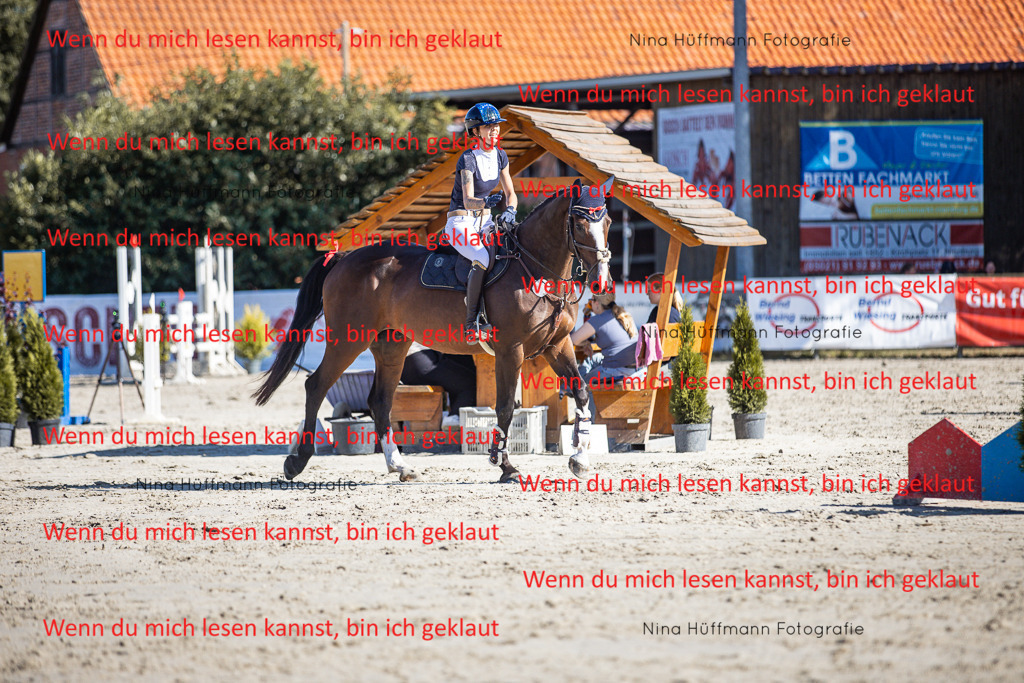 BK1A7263 | Turnierbilder Turnierfotos Nina Hüffmann Turnierfotografie Pferdefotografie Tierzeichnung Haustierzeichnung Pferdezeichnung Hundezeichnung Videograf  - Realisiert mit Pictrs.com