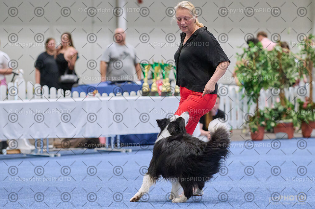 202406_ÖKV-IHA-Tulln24_DSC_4311 | proPHOTO - Realisiert mit Pictrs.com