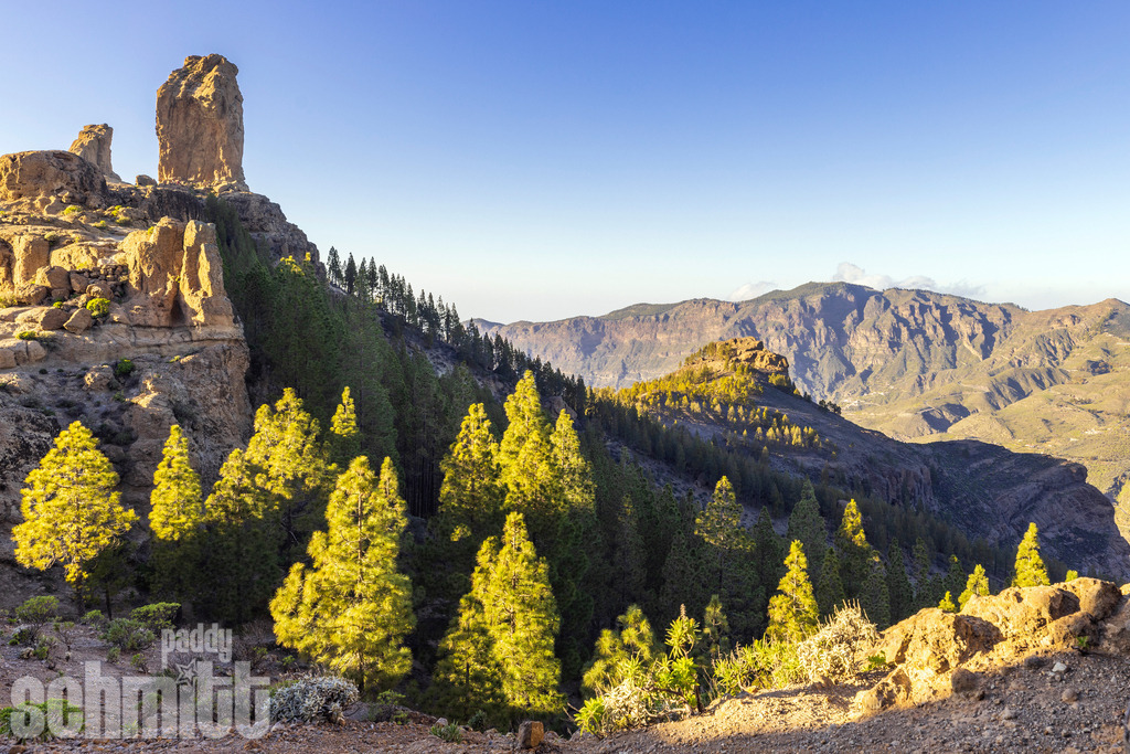 PS-Gran-Canaria-2026-38 | Entdecke die größte Bildgalerie der Region mit Fotografien aus dem Allgäu, der Bodenseeregion, Oberschwaben, dem Donautal und der Schwäbischen Alb. Landschaften, Luftaufnahmen und Reisefotografie als Wandbild und Fotokunst. - Realisiert mit Pictrs.com
