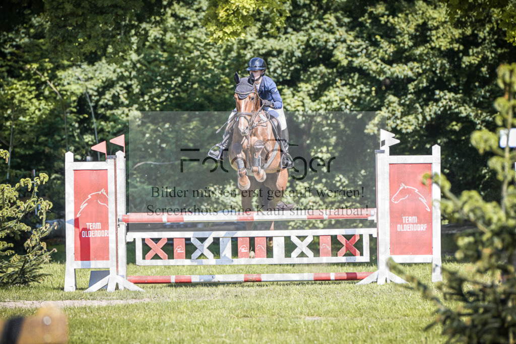 DOS_3377 | Entdecke hochwertige Reitturnierfotos von Foto Oger. Professionell, emotional und authentisch – jetzt Lieblingsmomente im Shop bestellen.Deutschlandweite Turnierfotografie. - Realisiert mit Pictrs.com