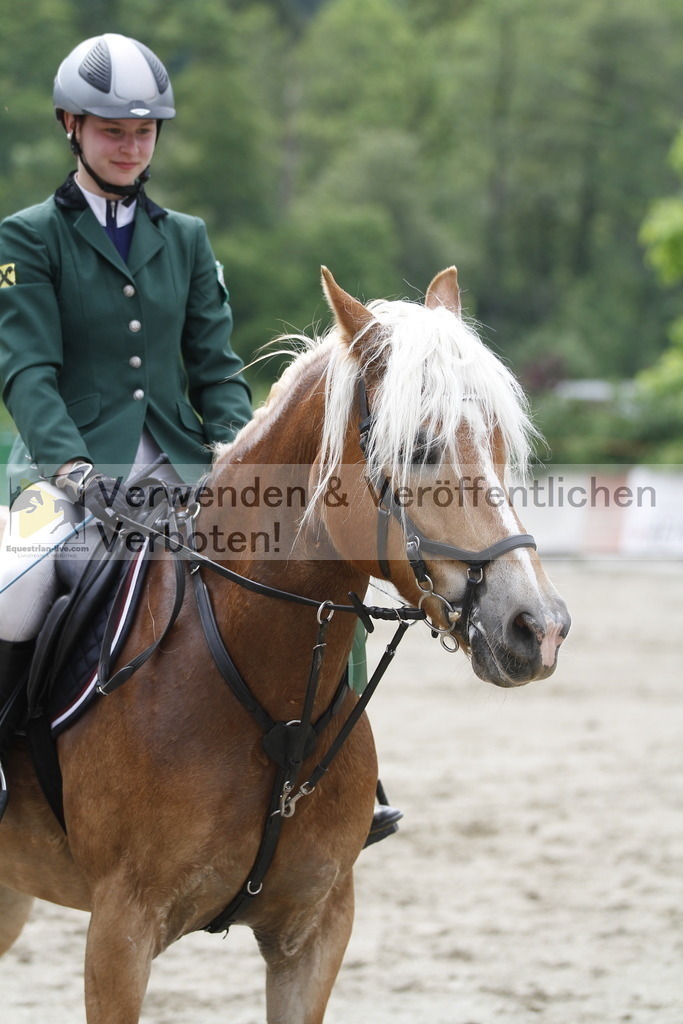 _MG_6796 | equestrian-live-com