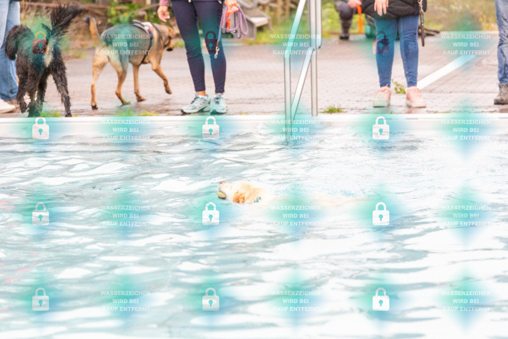 _HP_7167_1000o | HetPix, HetPix Fotodesign, Fotografie, Fotodesign, Webshop, Sportfotografie, Portraitfotografie, Onlineshop, Sportfotografie, Polch, Motorsportfotografie, Eventfotografie