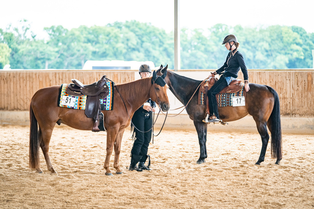 DSC02715 | Pferdegrafie