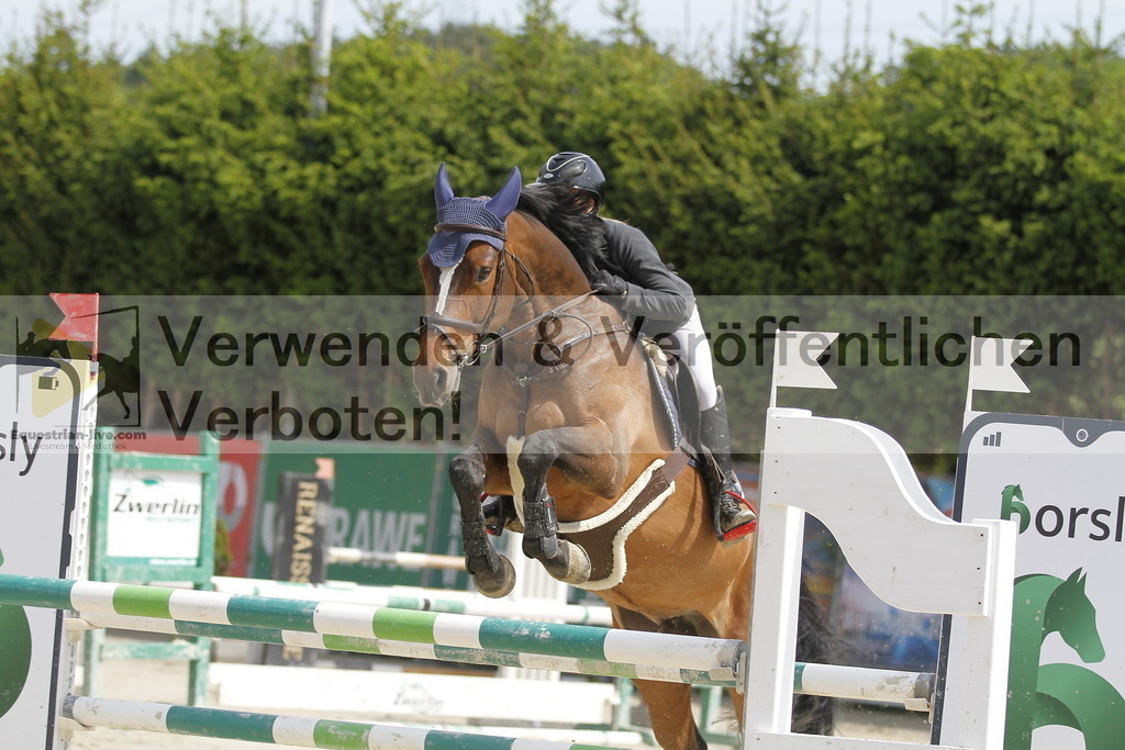 _MG_3178 | equestrian-live-com