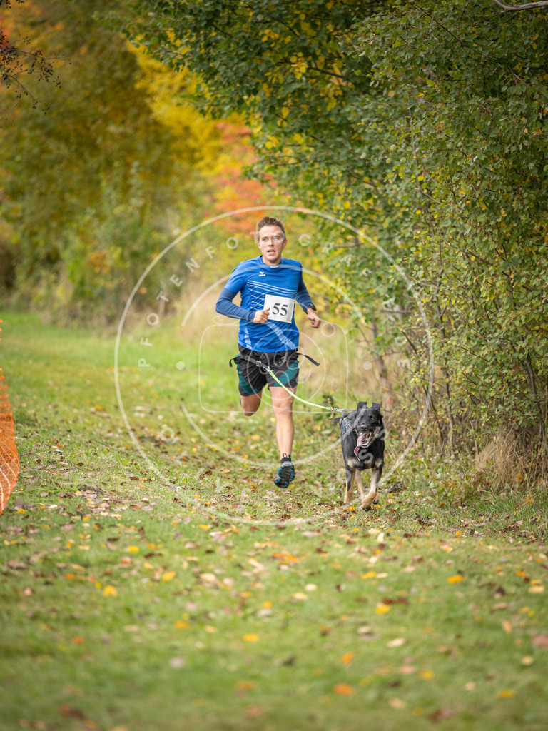 Pfotenfotografie_DV3A2551 | Hundefotografie, Tierfotograf, Pfotenfotografie, Fotoshooting Hund, Hunde Portrait, Hundesport, Hundeportraits, Heideshooting, Hunde, Sportfotograf, Hundefotograf, Turnierhundsport, THS,  - Realisiert mit Pictrs.com