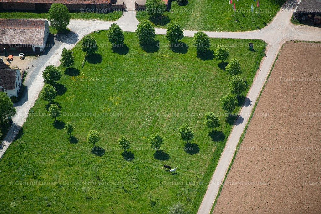 3500664 | Pferde bei Gut Rosshof