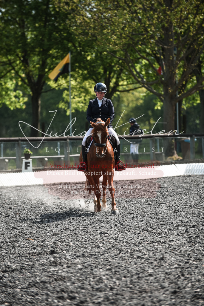 DSC_9023 | Pferde- und Turnierfotografie in Westsachsen. Pferdeportraits, Auftragszeichnungen und intuitive Kunst.