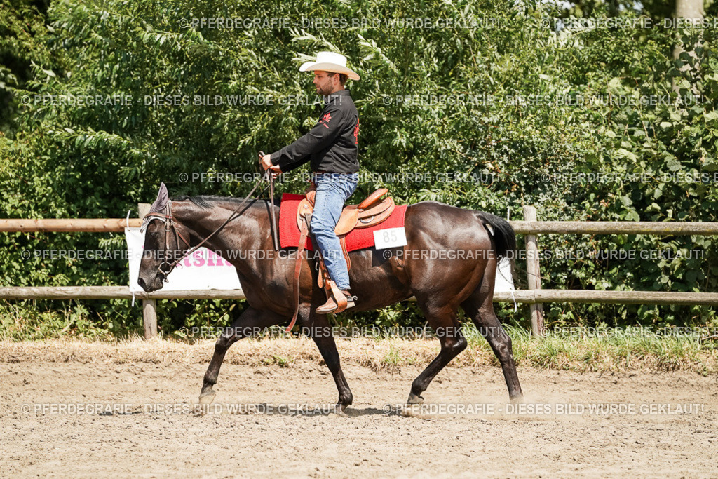 DSC09475 | Pferdegrafie