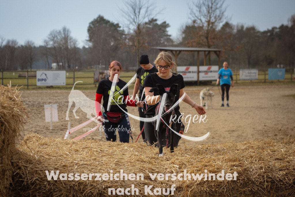 1133_ZZ94226 | kk-dogfotos