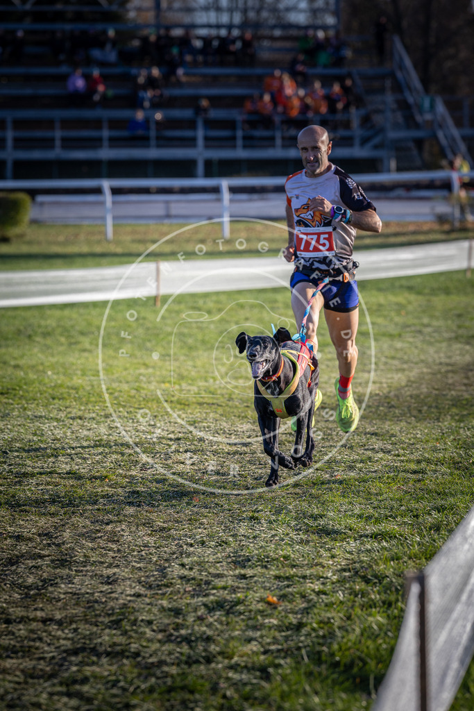 CaniXpix_DV3A2722 | Hundefotografie, Tierfotograf, Pfotenfotografie, Fotoshooting Hund, Hunde Portrait, Hundesport, Hundeportraits, Heideshooting, Hunde, Sportfotograf, Hundefotograf, Turnierhundsport, THS,  - Realisiert mit Pictrs.com