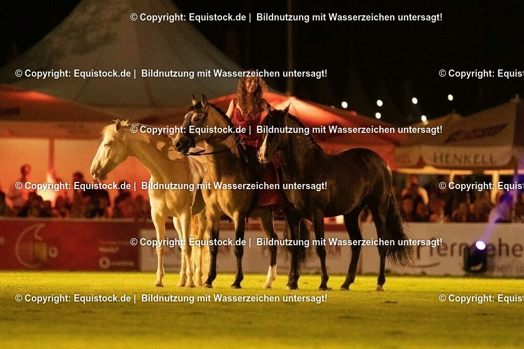 20230526_Pferdenacht_1513 | equistock
