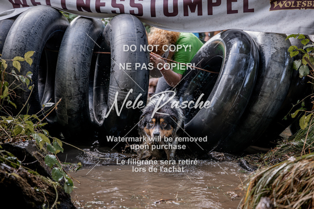 nelerasche_Hunsrück2026_Sa1400-1500_90 | nelerasche