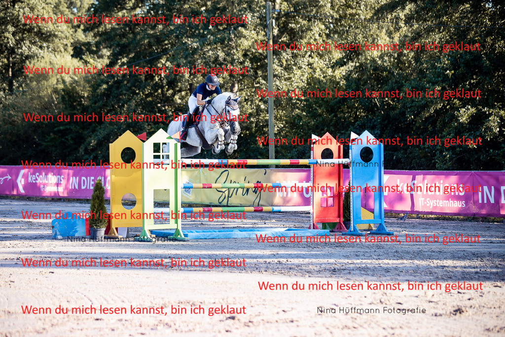 BK1A8799 | Turnierbilder Turnierfotos Nina Hüffmann Turnierfotografie Pferdefotografie Tierzeichnung Haustierzeichnung Pferdezeichnung Hundezeichnung Videograf  - Realisiert mit Pictrs.com