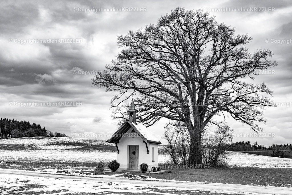 _J3A0137 | medienkrizzler - Realisiert mit Pictrs.com