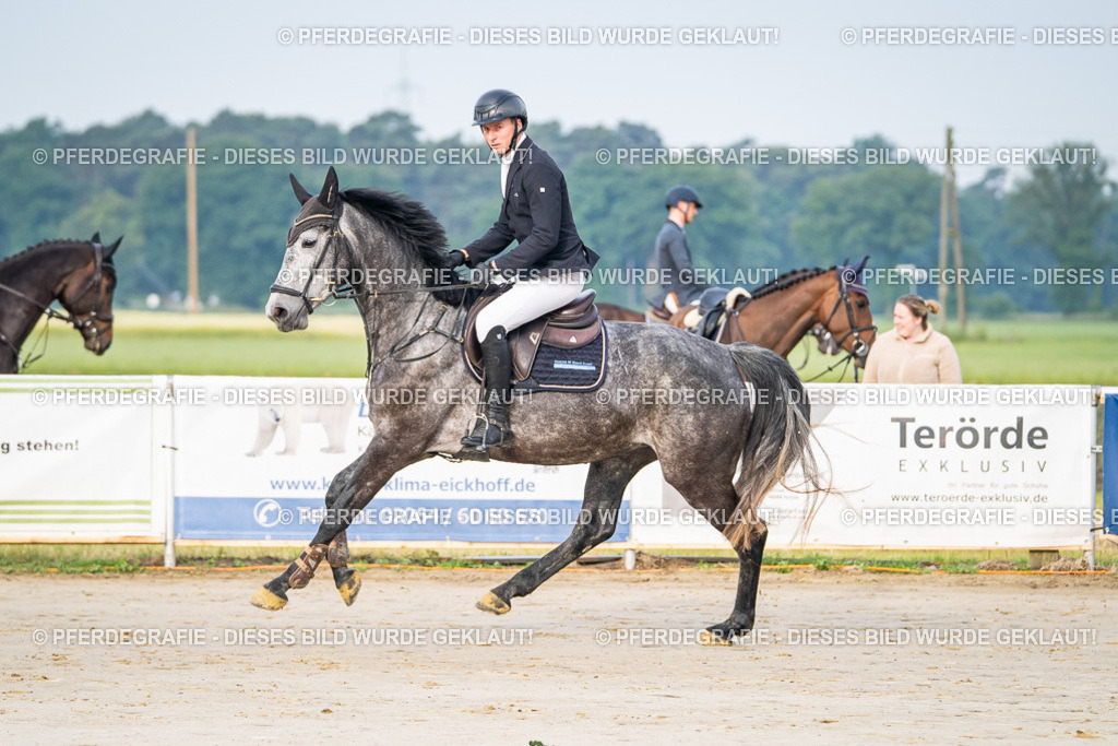 DSC07588 | Pferdegrafie