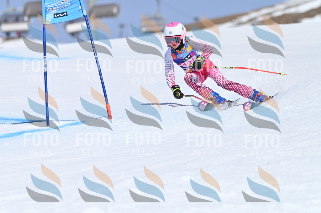 BGV_9825 | holidayphoto