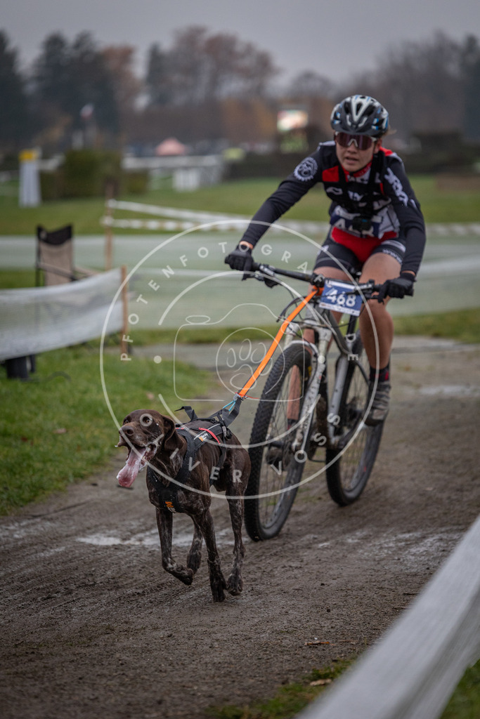 CaniXpix_0L8A1687 | Hundefotografie, Tierfotograf, Pfotenfotografie, Fotoshooting Hund, Hunde Portrait, Hundesport, Hundeportraits, Heideshooting, Hunde, Sportfotograf, Hundefotograf, Turnierhundsport, THS,  - Realisiert mit Pictrs.com