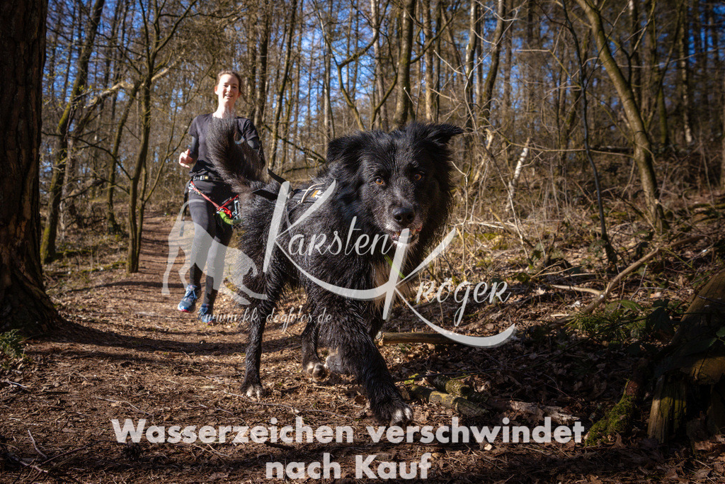 0935_ZZ99067 | kk-dogfotos