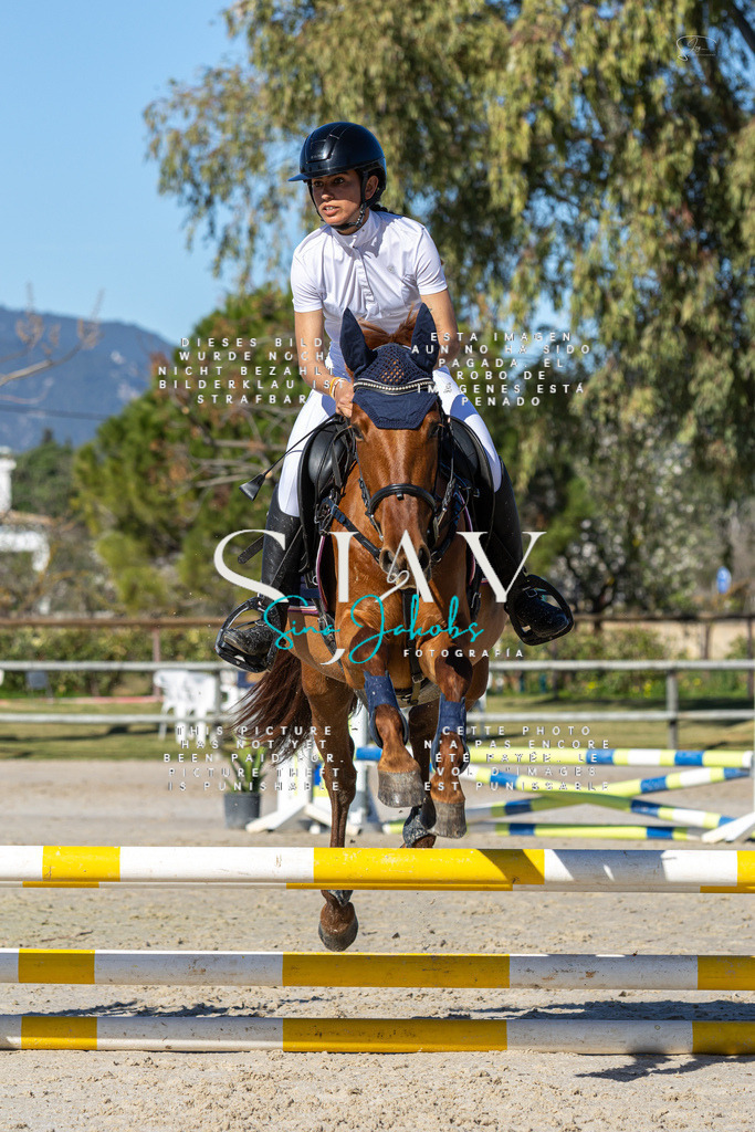 IMG_8535 | s-jay-photography - Realisiert mit Pictrs.com