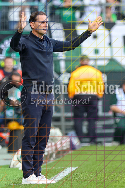 Borussia Mönchengladbach vs SV Werder Bremen - Bundesliga  | Mönchengladbach, Deutschland, 14.09.25:   Gerardo Seoane (Borussia Mönchengladbach) gestikuliert, Gestik waehrend des Spiels der Bundesliga zwischen Borussia Mönchengladbach vs SV Werder Bremen im Stadion im Borussia Park(Foto von Brauer-Fotoagentur / Adrian Schlueter)