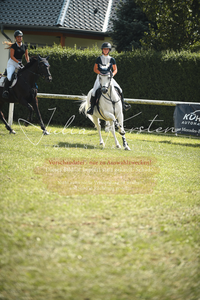 DSC_6840 | Pferde- und Turnierfotografie in Westsachsen. Pferdeportraits, Auftragszeichnungen und intuitive Kunst.
