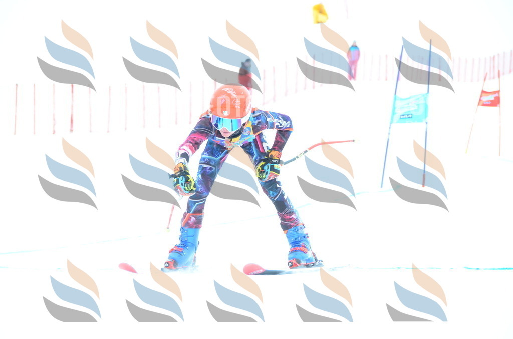 DSC_0617 | holidayphoto