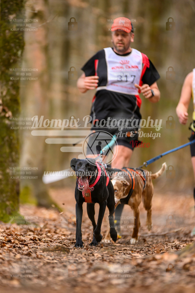 MompixPhotography_Habay2025_SA_CCC-230 | PayLife