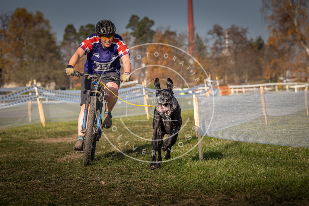 CaniXpix_0L8A7083 | Hundefotografie, Tierfotograf, Pfotenfotografie, Fotoshooting Hund, Hunde Portrait, Hundesport, Hundeportraits, Heideshooting, Hunde, Sportfotograf, Hundefotograf, Turnierhundsport, THS,  - Realisiert mit Pictrs.com