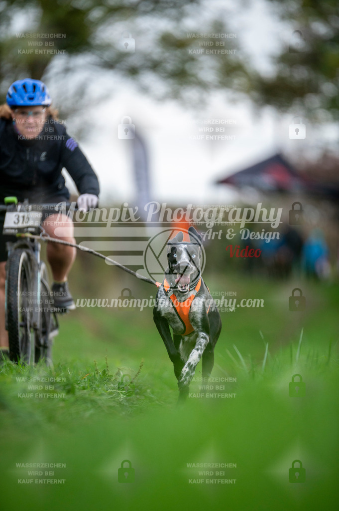 TSB_2023_E8_Bike-75 | PayLife