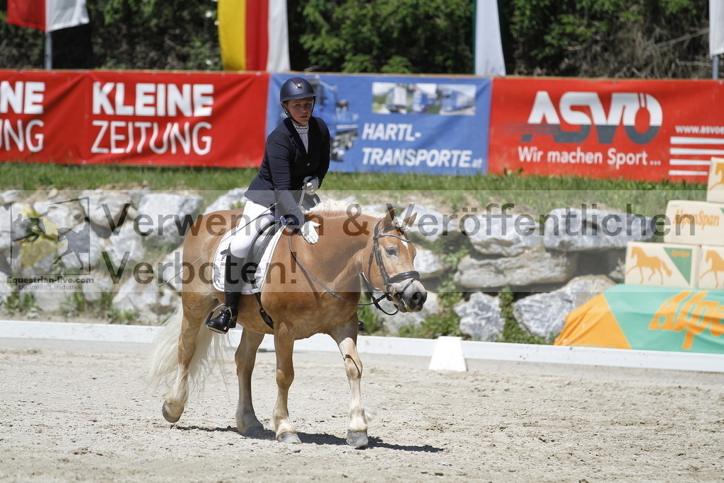 _MG_5319 | equestrian-live-com