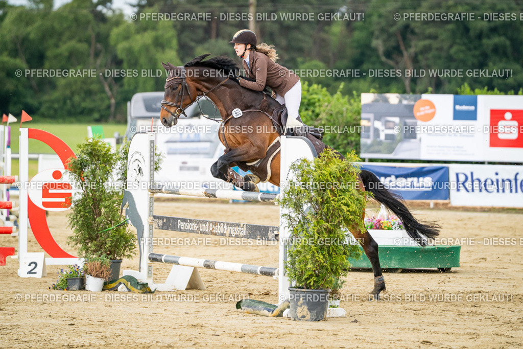 DSC06636 | Pferdegrafie