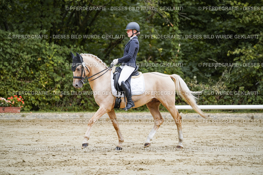 DSC08905 | Pferdegrafie