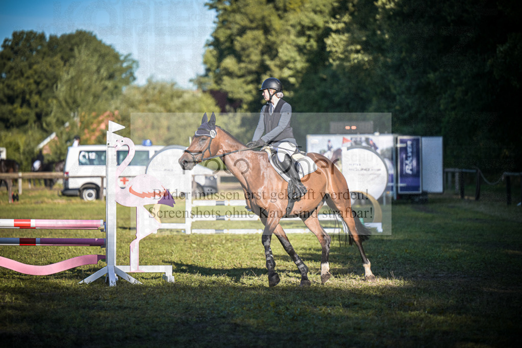 DOS_0101 | Entdecke hochwertige Reitturnierfotos von Foto Oger. Professionell, emotional und authentisch – jetzt Lieblingsmomente im Shop bestellen.Deutschlandweite Turnierfotografie. - Realisiert mit Pictrs.com