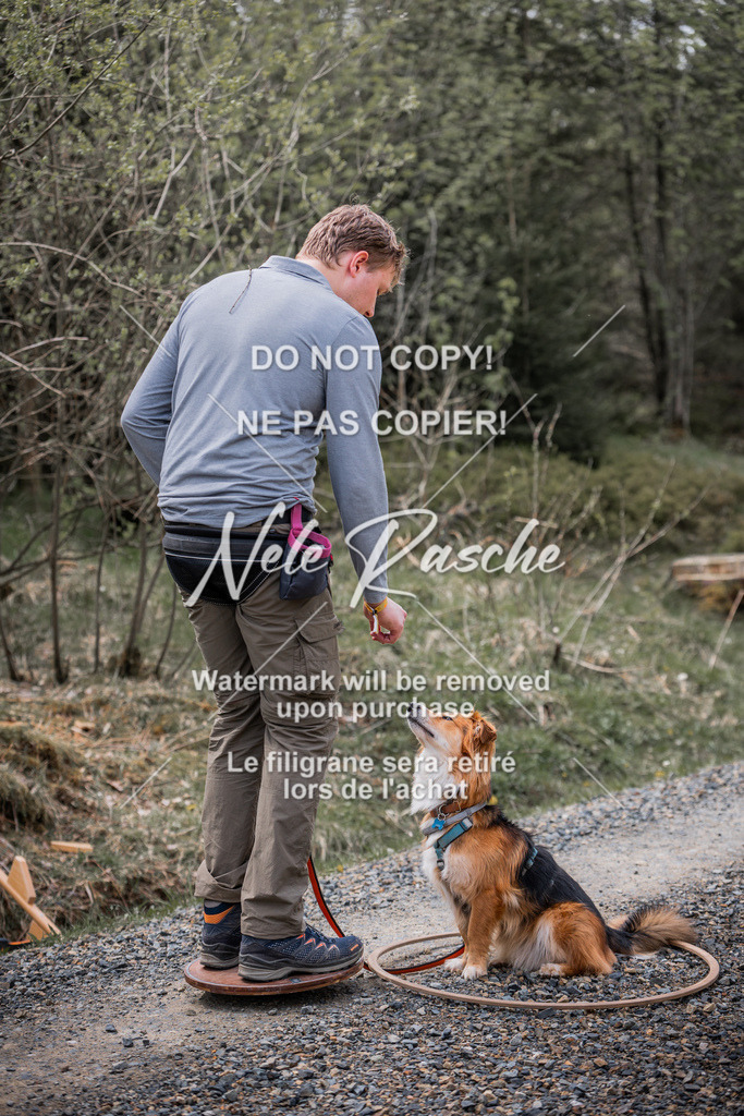 6Z1A1989 | nelerasche
