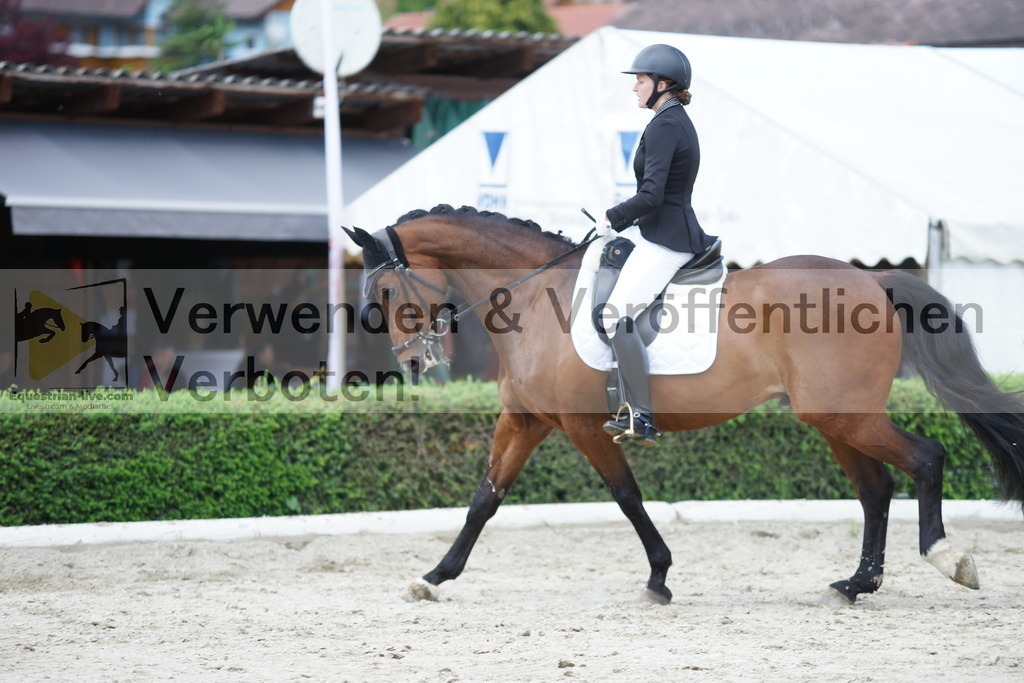 DSC05335 | equestrian-live-com