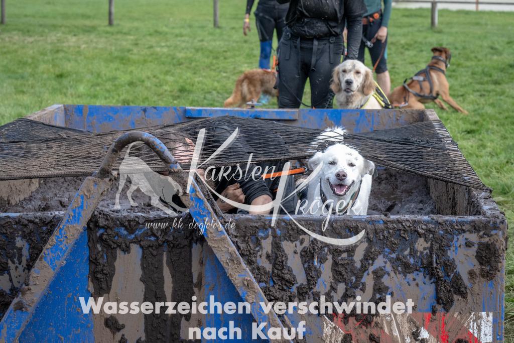 1405_ZZ90701 | kk-dogfotos