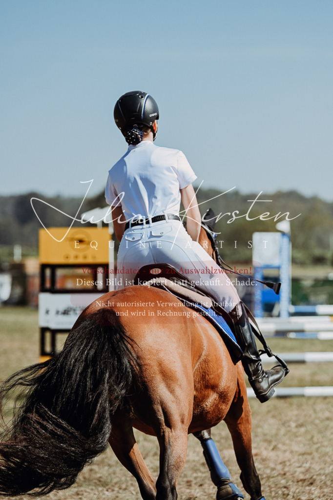DSC_9625 | Pferde- und Turnierfotografie in Westsachsen. Pferdeportraits, Auftragszeichnungen und intuitive Kunst.