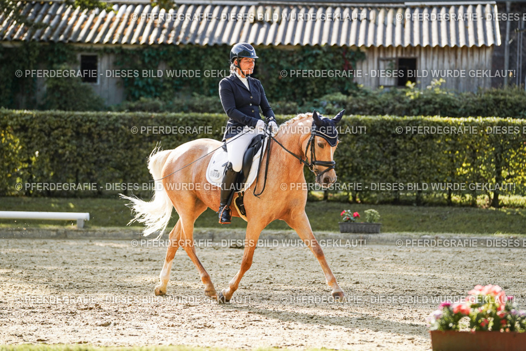 DSC05719 | Pferdegrafie