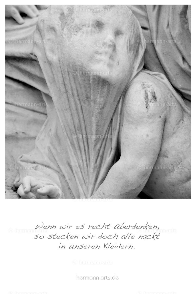 PK_Zitate_10x15_BW-027 | Photo Foto Kunst Art schwarzweiss Bilder Rheine Münster Berlin Blumen 