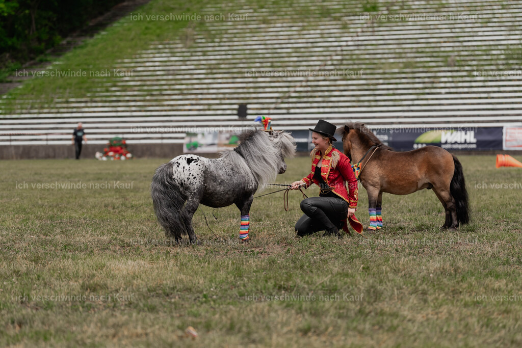 Showprogramm-249 | working equitationturnier fotograf videograf stoibphotography marixx film working equitation deutschland reitsport turnierfotografie eventfotografie equestrian events
