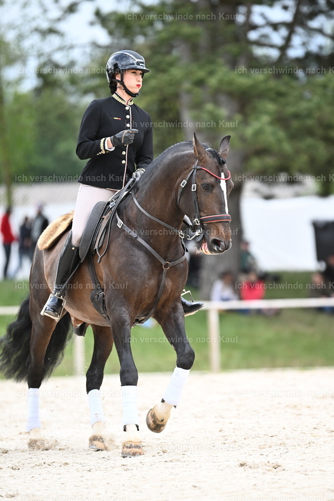 PI26_ST_Sara_Landvogt226_4105.JPG | working equitationturnier fotograf videograf stoibphotography marixx film working equitation deutschland reitsport turnierfotografie eventfotografie equestrian events