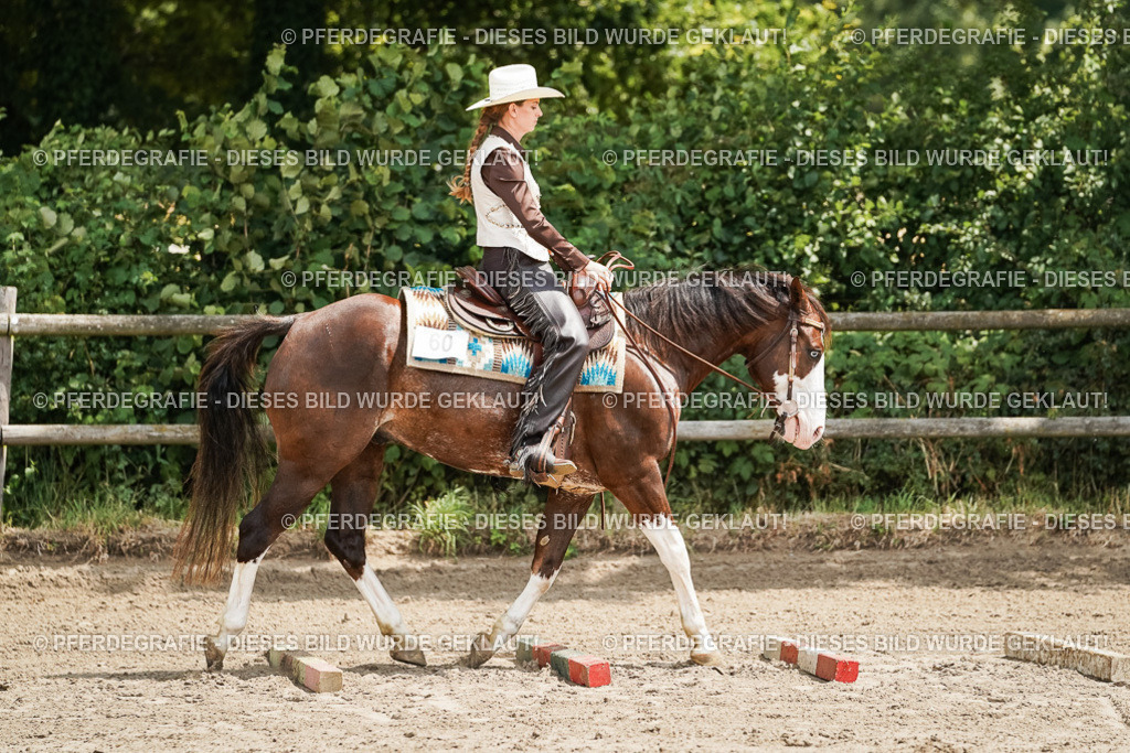 DSC07998 | Pferdegrafie